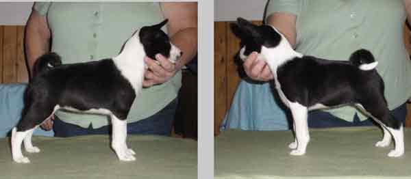Compare Markings