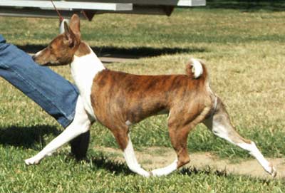 Move with ease and agility
