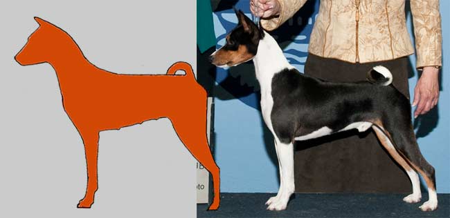 Outline Compared