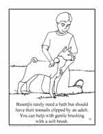Basenji Coloring Book Page
