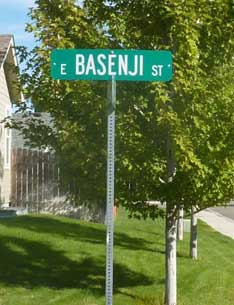 East Basenji Street Meridian Idaho