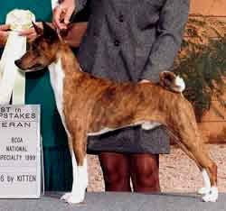 First Brindel Best in Show