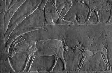Bas-Relief Detail 1200