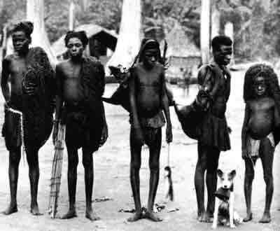 Pygmy Group