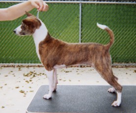 2000