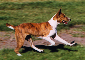 Micky running.