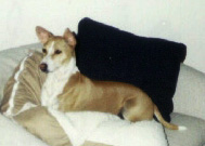 Arua lying down.