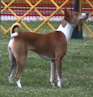 2000 BCOA National.