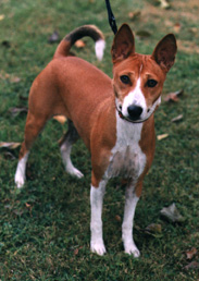 Caira standing.