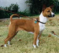 Chase standing.