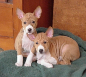 Circle (left) and Jim.