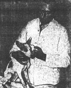 Congo at the Animal Rescue League.