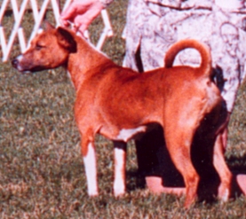 BCOA 2001 National.