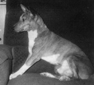 Du Nile sitting.