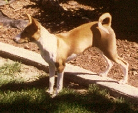 Side view with Dubele.