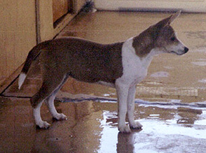 Enyi standing.