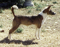 Side view of Ebone.