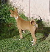Jenga as a baby