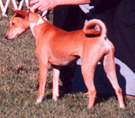 BCOA 2001 National.