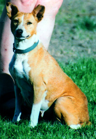 Kipingi in 1999.