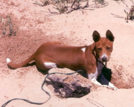 konah in a hole