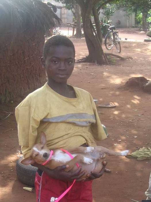 Kuoabo in Africa.