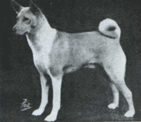 Leonato of Littlebreach
