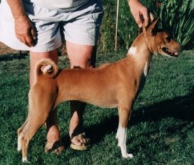 Side view of Wezi.