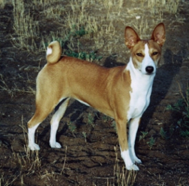Sara standing.