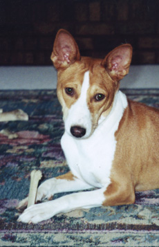 Photo of Sara's head.