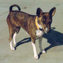 Talki as an adult.