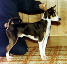 Side view of Wele.