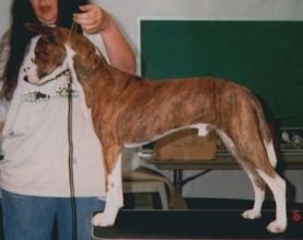 Side view of Willy.