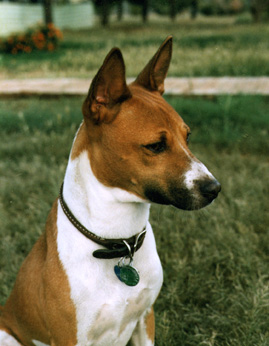 View of Z's head.