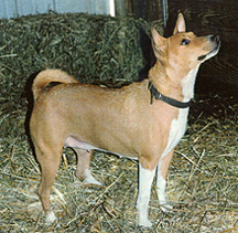 Side view of Heidi.