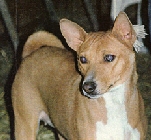 Heidi front view.