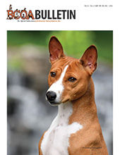 October Bulletin Cover October Bulletin Cover