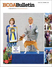 BCOA Bulletins