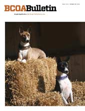 BCOA Bulletins BCOA Bulletins