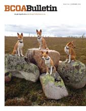 BCOA Bulletins BCOA Bulletins