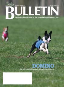 BCOA Bulletins