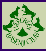 Evergreen Basenji Club