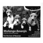 Roster Advertising Half Page